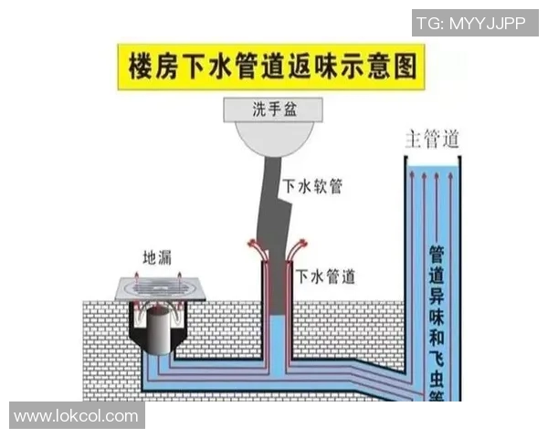 水管阀门的选购与安装指南解析及常见问题解决方案 水管阀门的选购与安装指南解析及常见问题解决方案